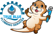 true blue plumbing icon